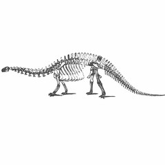 Fototapeta premium A prehistoric monster toy, a brown tyrannosaurus rex dinosaur, is isolated on a white background