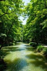 Obraz premium stream in the forest