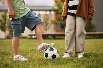 Two boys standing on grass field playing soccer, one boy with foot on soccer ball, both, outdoor...