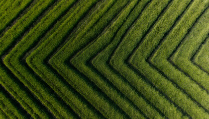 Aerial View of Geometric Green Fields