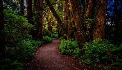 Fototapeta premium Lush forest path winding through trees