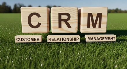 Wooden blocks spelling out the acronym CRM, sitting on a grassy field, with related words.