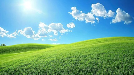 Fototapeta premium The image showcases a vibrant, expansive landscape under a brilliant blue sky. Lush green hills roll gently across the foreground, covered in a thick carpet of grass. 