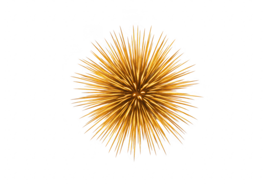Golden starburst explosion isolated on transparent background