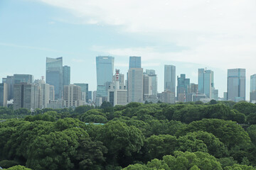 東京千鳥ヶ淵の森とビル群
