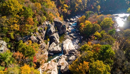 Autumnal canyon vista