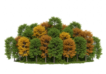 A dense cluster of deciduous trees with green and yellow foliage, isolated on a transparent background