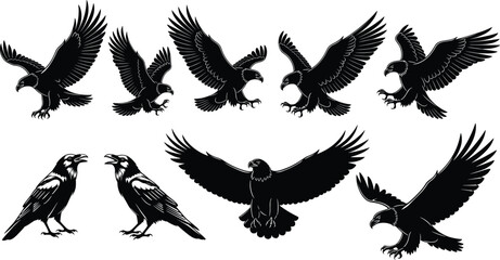 Eagle and crow silhouette vector set featuring dynamic flight and grounded poses for wildlife, nature, symbolism, and design themes