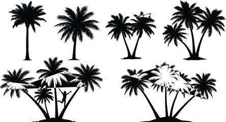 Palm tree silhouette vector set with tropical arrangements, climbing figure, nature shapes for botanical design, travel, summer, and landscape themes