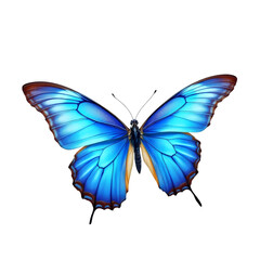 Blue Morpho Butterfly Wings Spread, High-Resolution Image