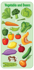 Colorful Assorted Vegetables and Beans Vector Illustration