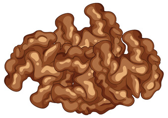 Realistic Vector Illustration of Walnut Kernels Cluster