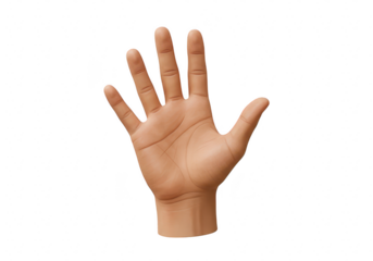 Open human hand with five fingers raised, isolated on transparent background