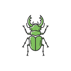 Fototapeta premium A green beetle illustration.