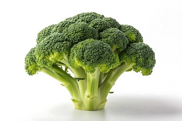 Broccoli isolated on white background.