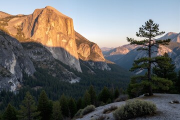 Obraz premium yosemite national park california