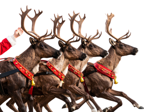 A - Santa’s Reindeer Group in Dynamic Running Pose with Harness and Bells, Side View, PNG Isolated. - Powered by Adobe