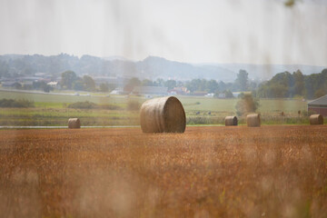 Round bales of hay on a field a misty autumn day with a landscape in the background