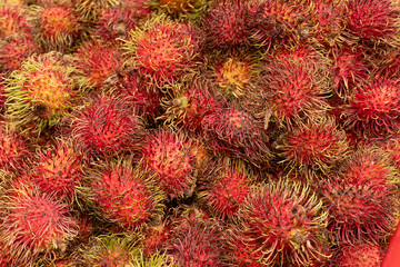 Rambutan fruit at market for sale 
