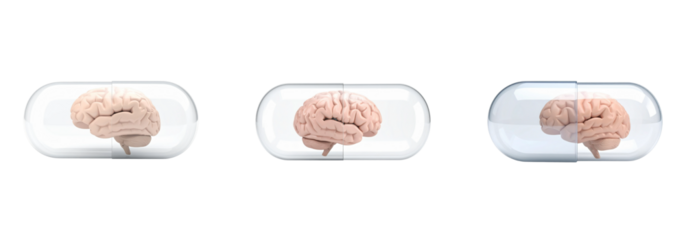 Set of human brain in a clear capsule isolated on white background.