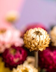 Dried flower bouquet close-up