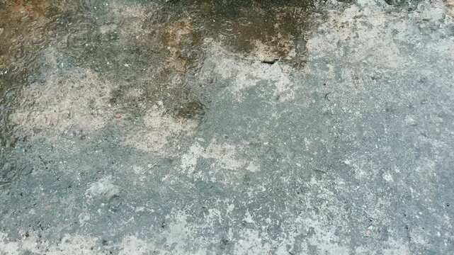 Raindrops Falling on Wet RCC Road Surface During Rainy Season | Water Droplets on Street