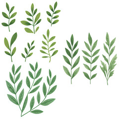 Fototapeta premium leaves and flowers