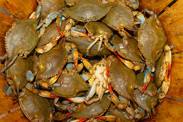 Live crabs in a wooden bucket © kareem