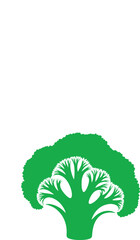 Vibrant Green Broccoli Floret Illustrative Design on White Backdrop Health and Wellness Concept Clean Eating Vegetarian Diet Food Graphic
