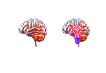 Brain with lightbulb concept