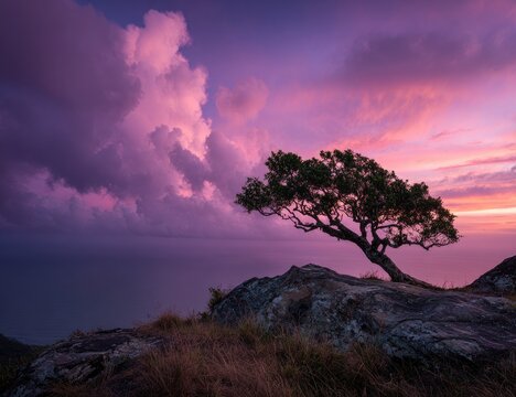 A lone tree atop a rocky peak at sunset. Dramatic clouds