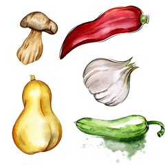 watercolor bright autumn set of vegetables