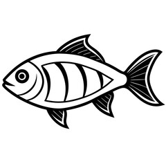 fish vector illustration
