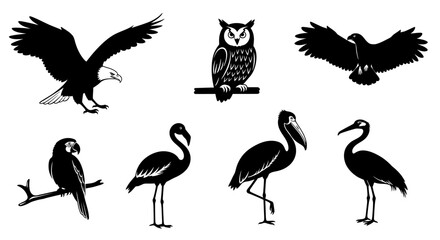 Naklejka premium Collection of silhouette bird illustrations eagle, owl, parrot, flamingo, and crane