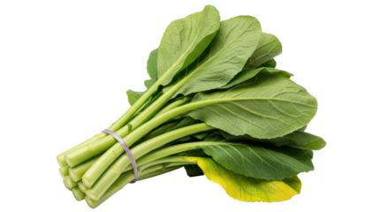 Isolated Chinese Broccoli