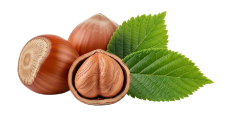 Isolated Hazelnuts