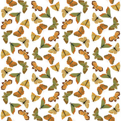 Vector seamless pattern with butterflies, moths.