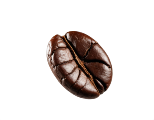 A single coffee bean up close on a transparent background