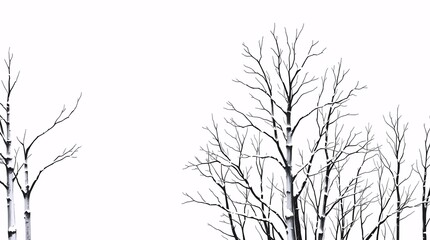 artistic sketch of tall bare winter tree