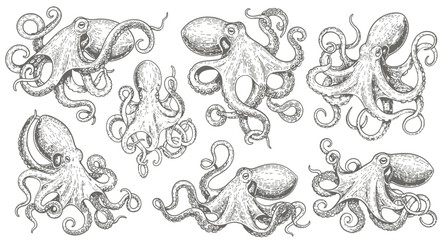Vector SVG Illustration of Octopuses in Modern Line Art Style with Monochrome Gray Color Scheme for Digital and Web Design