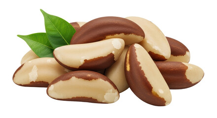 Isolated Heap of Brazil Nuts