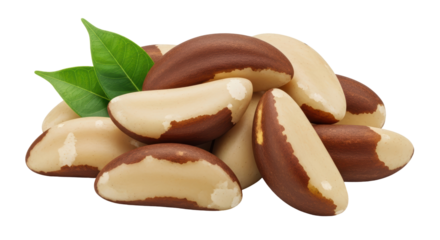 Isolated Heap of Brazil Nuts