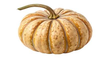 Ripe and vibrant pumpkin isolated on transparent background, a symbol of autumn harvest and thanksgiving, perfect for seasonal decoration