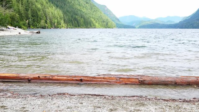 Serene mountain lake view with driftwood log, lush green forest, and tranquil wa