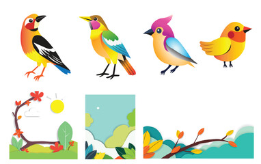 Birds and Nature