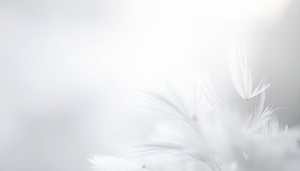 Obraz premium soft light background