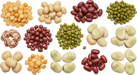 A Diverse Assortment of Legumes and Beans in a Top Down View