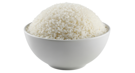 Isolated Bowl of Rice