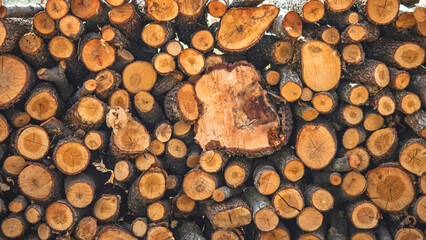 Stacked firewood. Background of cut logs close up. Preparation for winter. Natural background idea concept. Wallpaper. 