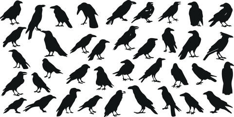 Bird Silhouette Vector Set – Flying Birds Icons, Nature Animal Clipart, Wild Bird Illustration, Ornithology Symbols Pack, Bird Watching Vector, Bird Pattern Silhouettes, Animal Shapes Graphic, Flock o